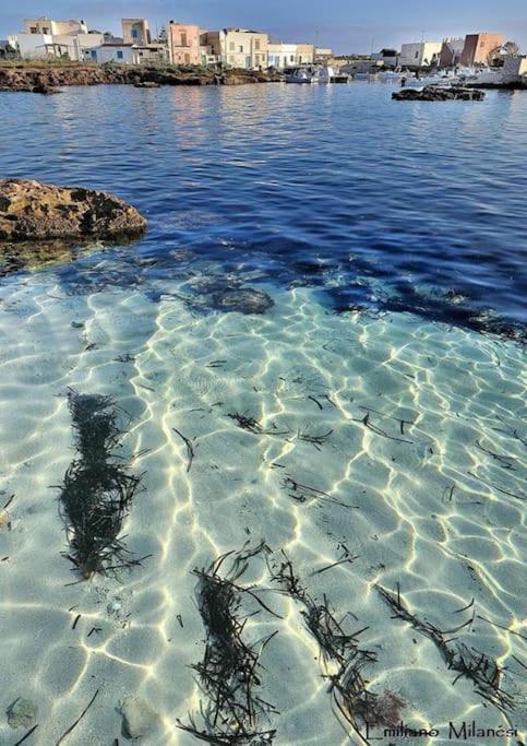 Il Cubo, Monovano Col Mare Su Tre Fronti. Favignana Dış mekan fotoğraf